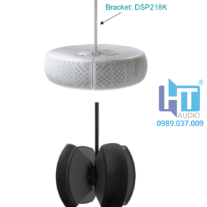 DSP218B Loa hộp treo tường đa năng 40W 1 DSP218 BW