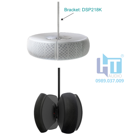 DSP218B Loa hộp treo tường đa năng 40W DSP218B Loa hộp treo tường đa năng 40W