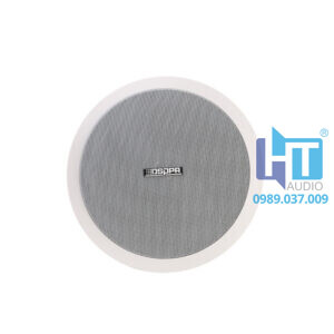 DSP804 Loa âm trần đồng trục 30W