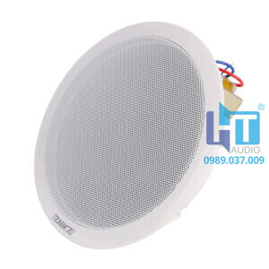 DSP124, Loa âm trần công suất 3W/6W/10W 2 wa 124 1