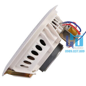 DSP114, Loa gắn âm trần công suất 2W/4W