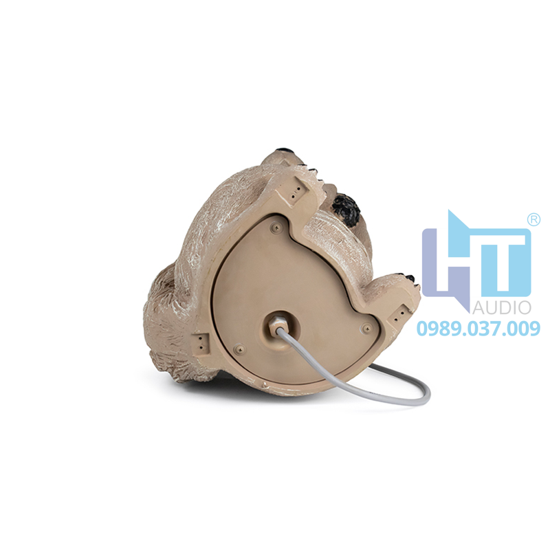 DSP562 Loa sân vườn chống nước DSP562 Loa sân vườn chống nước