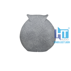 DSP652 2 ca chep