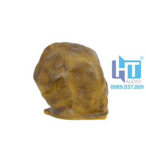DSP645 Loa sân vườn chống nước 3 dsp645 1 2 huong