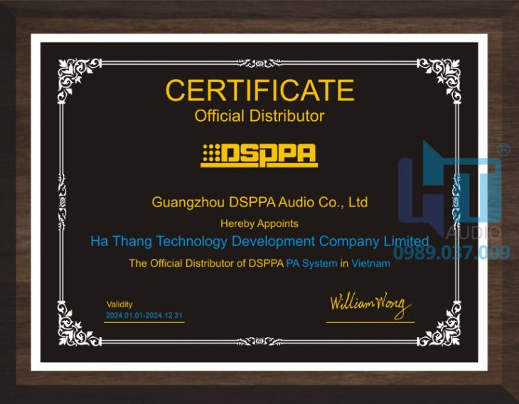 DSPPA.2024 HATHANG AUDIO e1716609481129